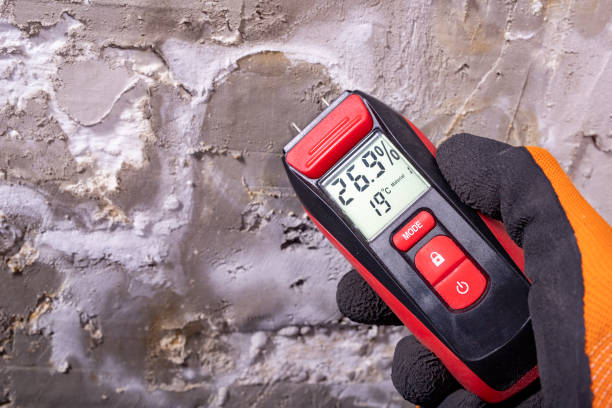 Home Mold Removal in Onawa, IA